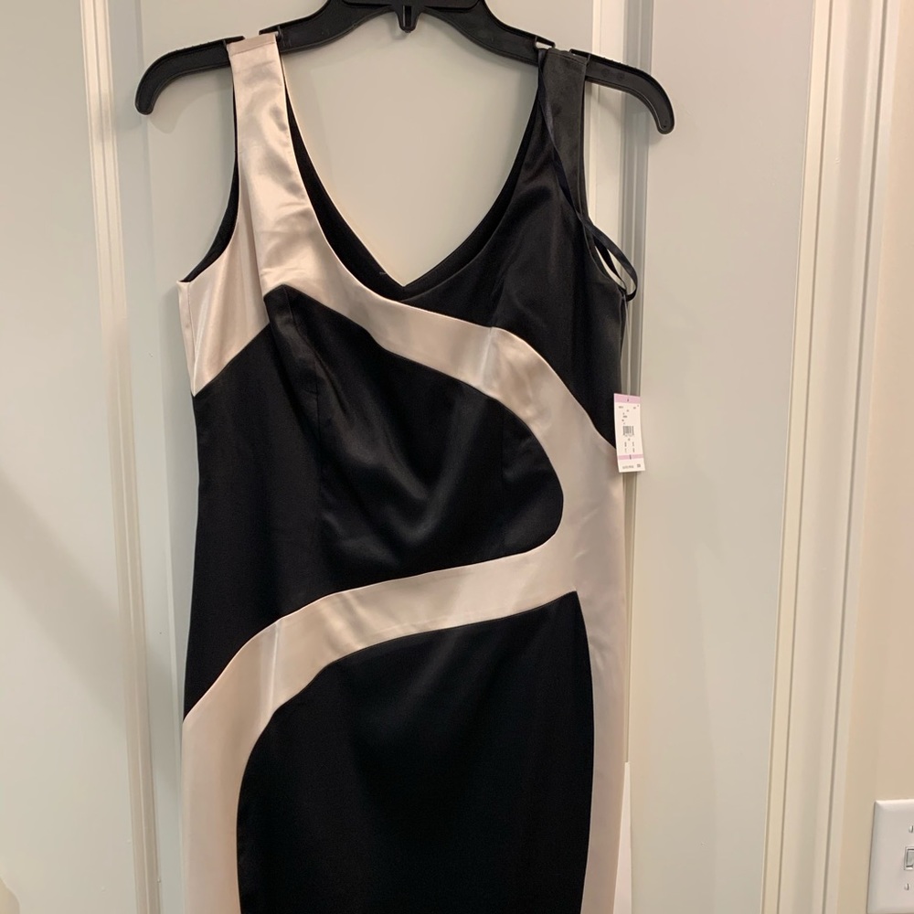 Anne Klein dress